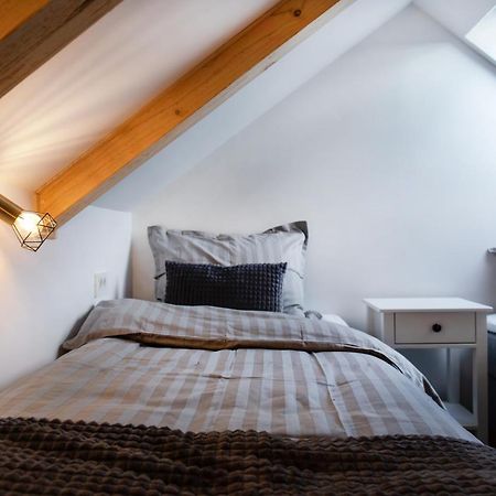 Bright & Spacious Loft In The Heart Of Old Town リュブリャナ エクステリア 写真